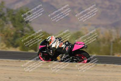 media/Nov-12-2023-SoCal Trackdays (Sun) [[5d1fba4e7d]]/Turn 3 Inside Speed Pans (135pm)/